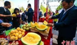 临县吃瓜事件最新爆料,揭秘背后惊人真相，网络舆论再掀波澜