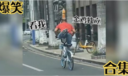 搞笑大佬爆料视频下载大全,笑料百出，欢乐无限