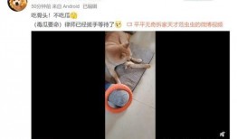 张小寒最新爆料视频网站,揭秘视频网站幕后真相